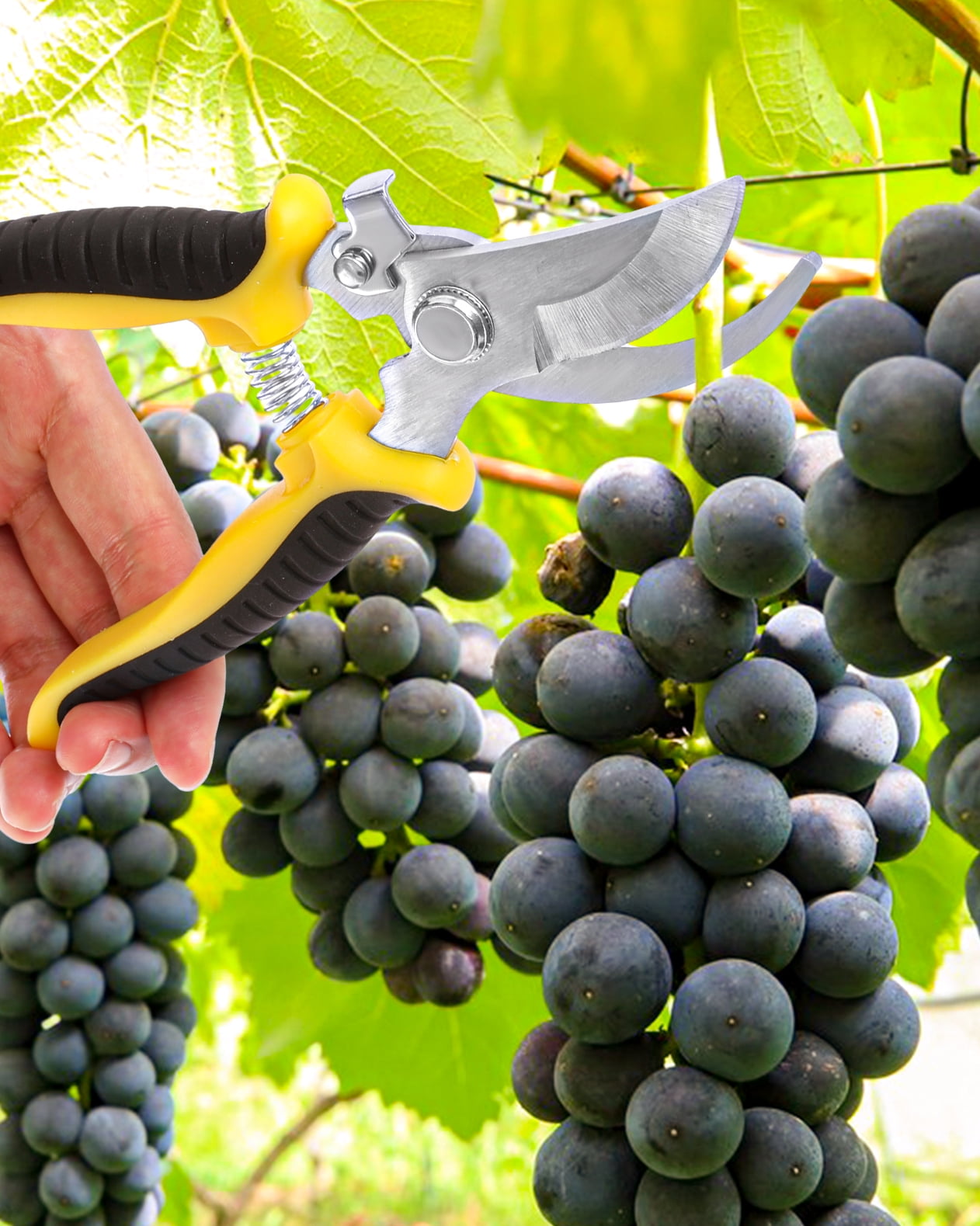 Small Pruning Shears
