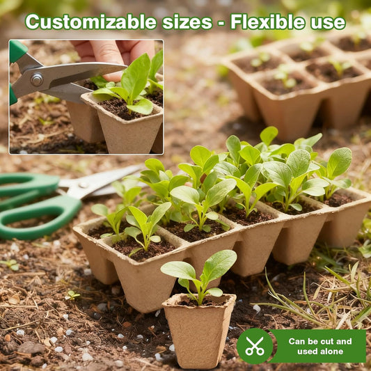  Seed Trays