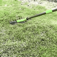 Adjustable Handle Dethatcher Rake