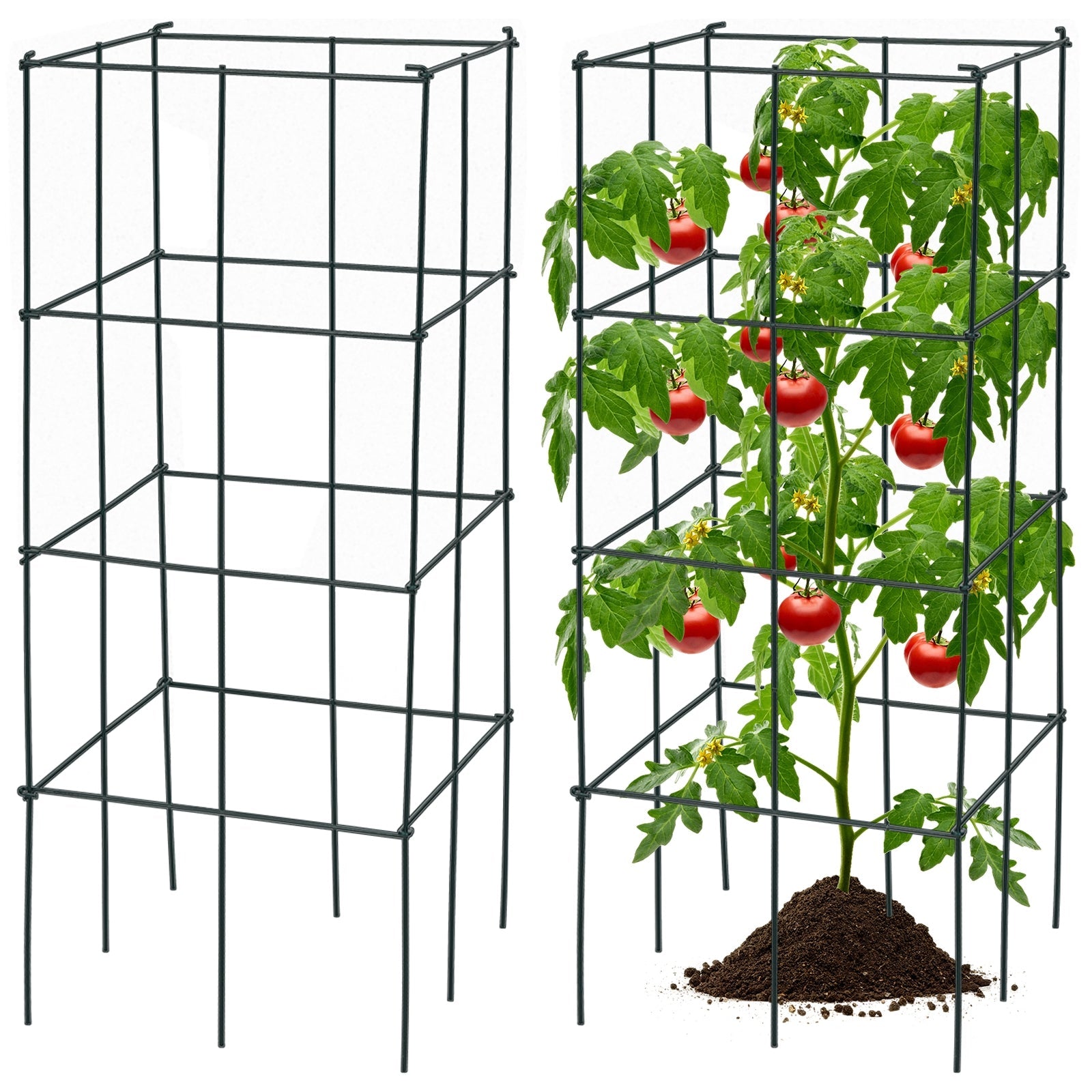 Metal Garden Trellis