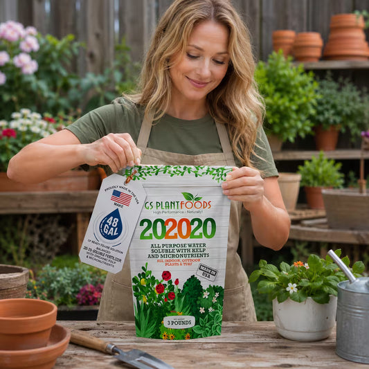 All Purpose Fertilizer 20 20 20 