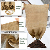 Frost Cloth for Plants