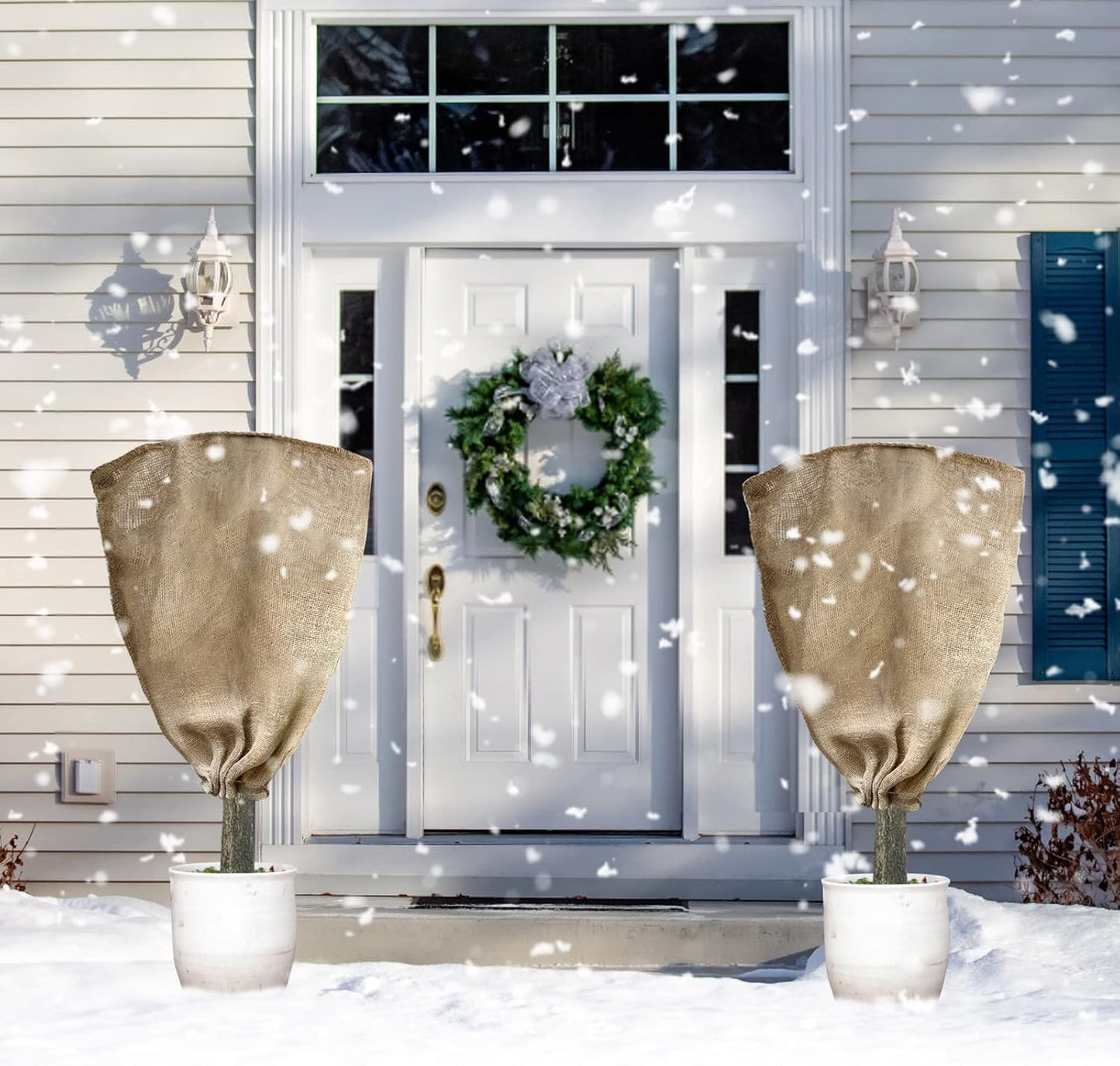 Frost Protector for Plants