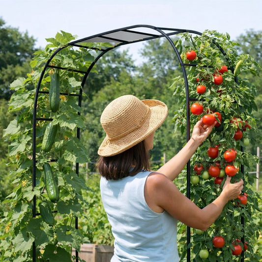 Garden Trellis