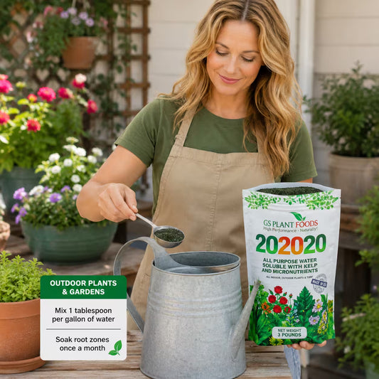 All Purpose Fertilizer 20 20 20 