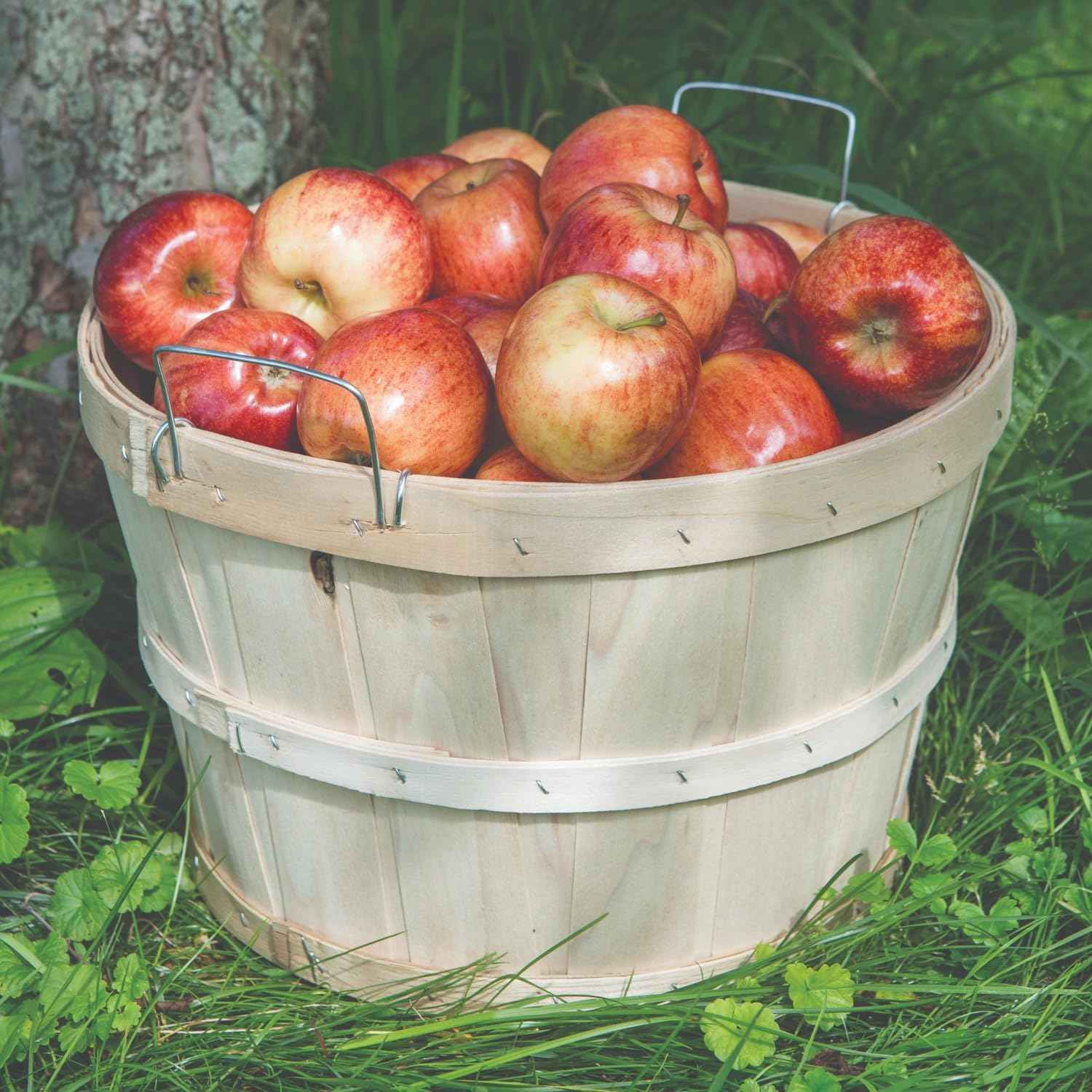 Handcrafted Half Bushel Basket with Wire Handles