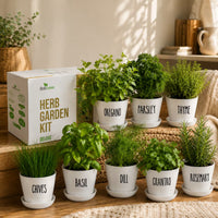 Herb Garden Kit 
