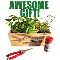  Herb Garden Kit
