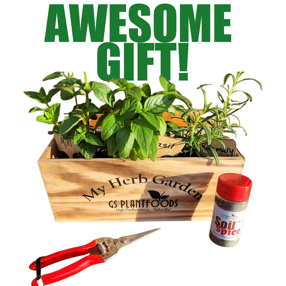  Herb Garden Kit