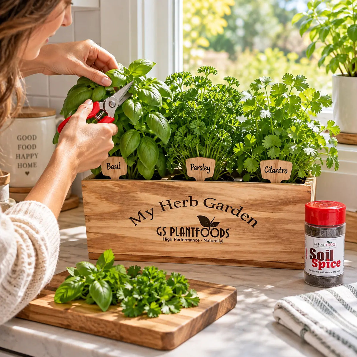 Windowsill Herb Garden Kit