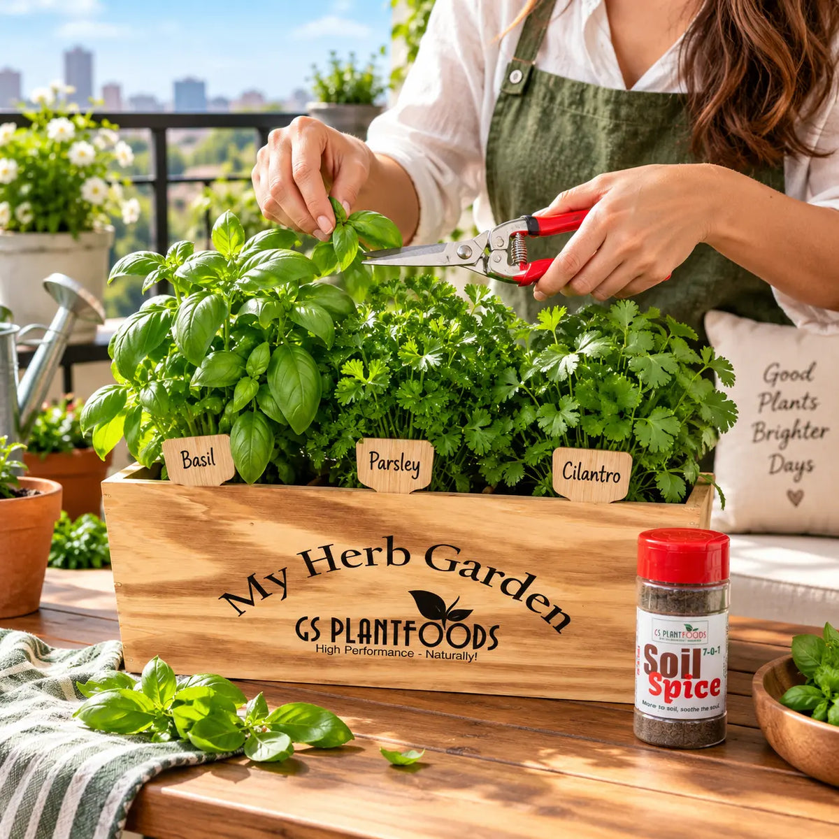 Windowsill Herb Garden Kit