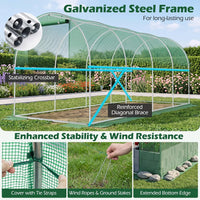 High Tunnel Greenhouse