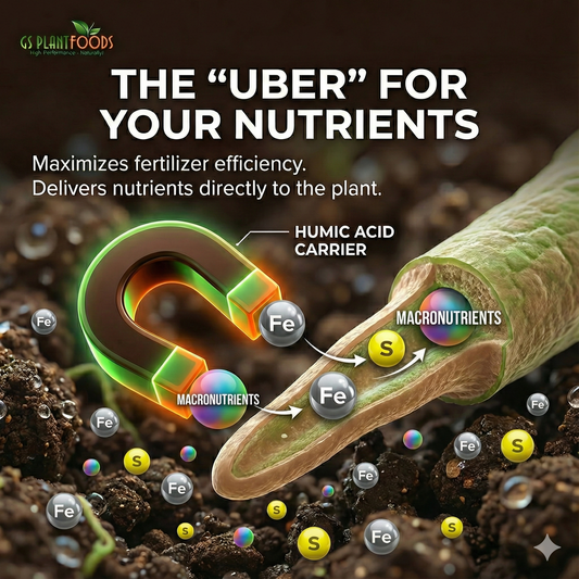 Organic Liquid Humic Acid Soil Amendment