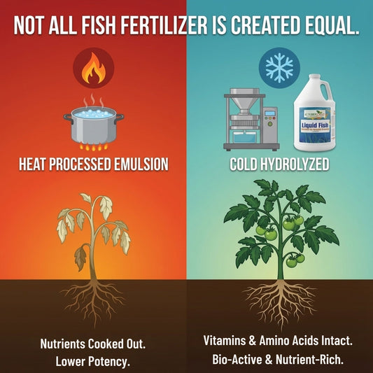 Organic Liquid Fish Fertilizer