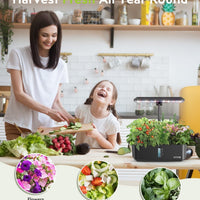 12 Pods Hydroponics Kit for Indoor Gardening