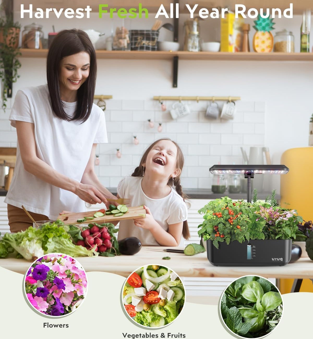 12 Pods Hydroponics Kit for Indoor Gardening