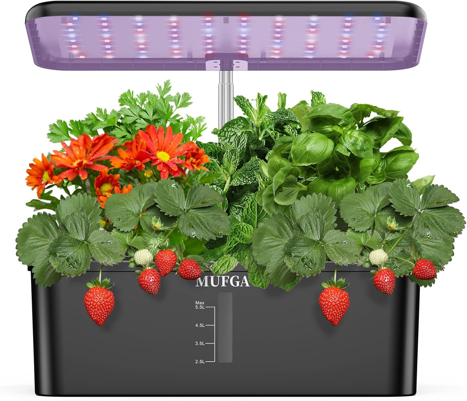 Hydroponics Kit