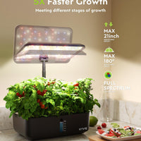 12 Pods Hydroponics Kit 