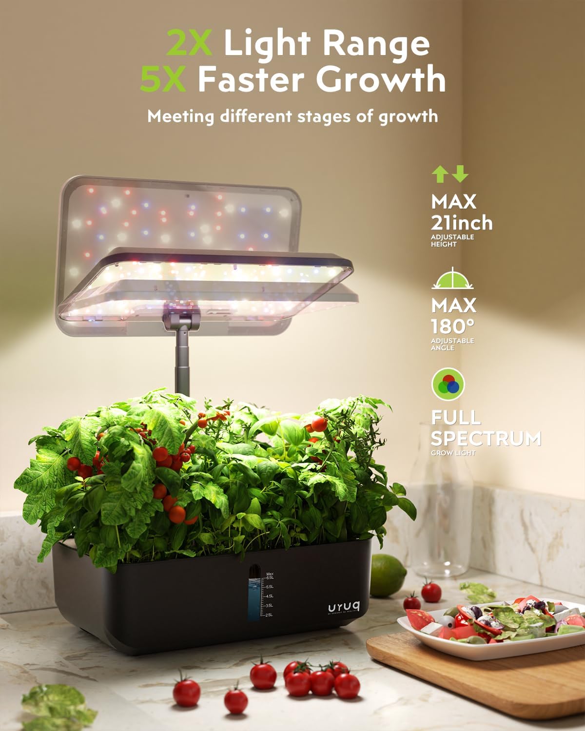 12 Pods Hydroponics Kit 