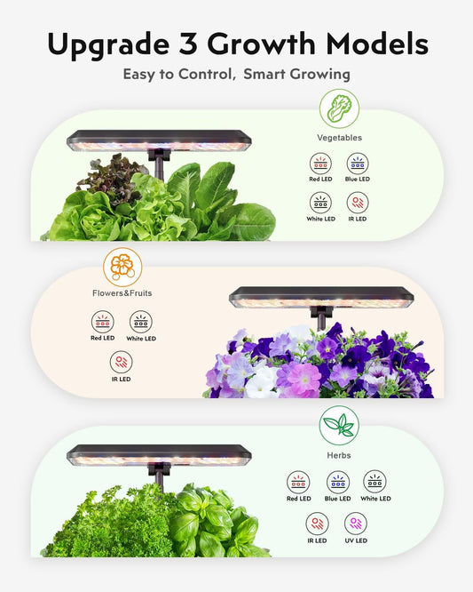 12 Pods Hydroponics Kit 