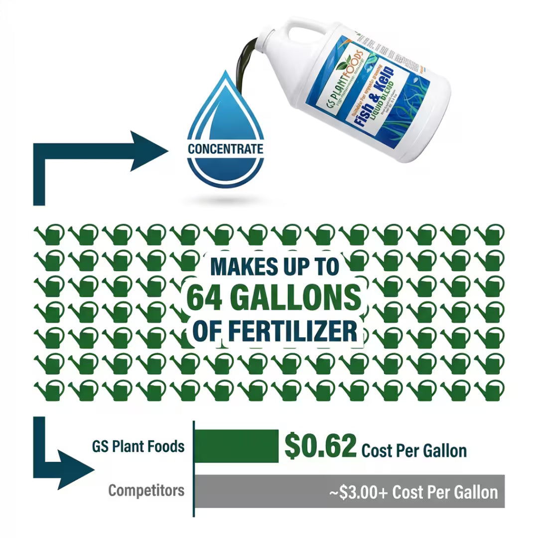Organic Liquid Kelp & Fish Fertilizer