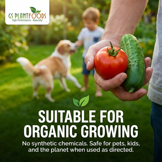 Organic Liquid Fish Fertilizer