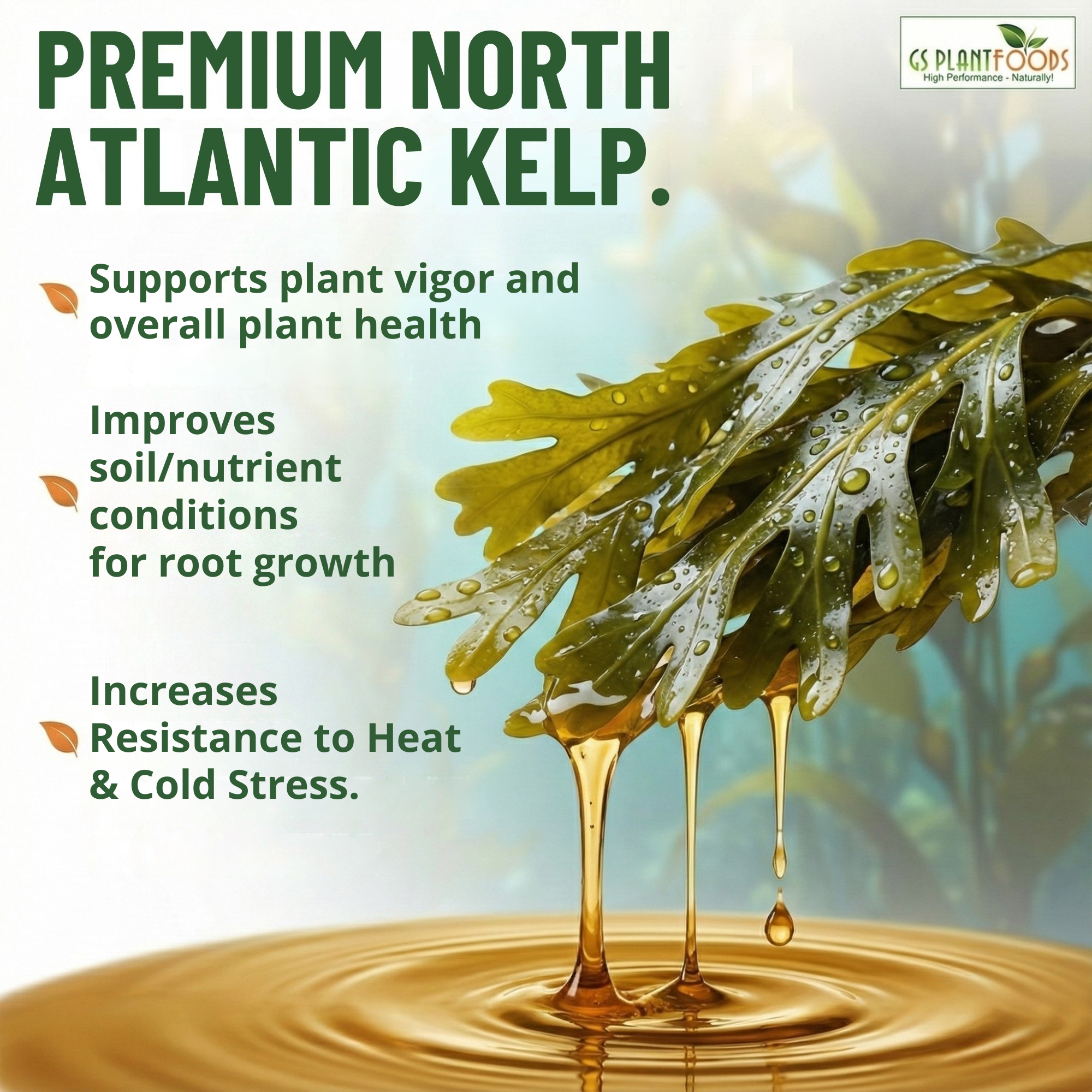 Liquid Kelp Fertilizer