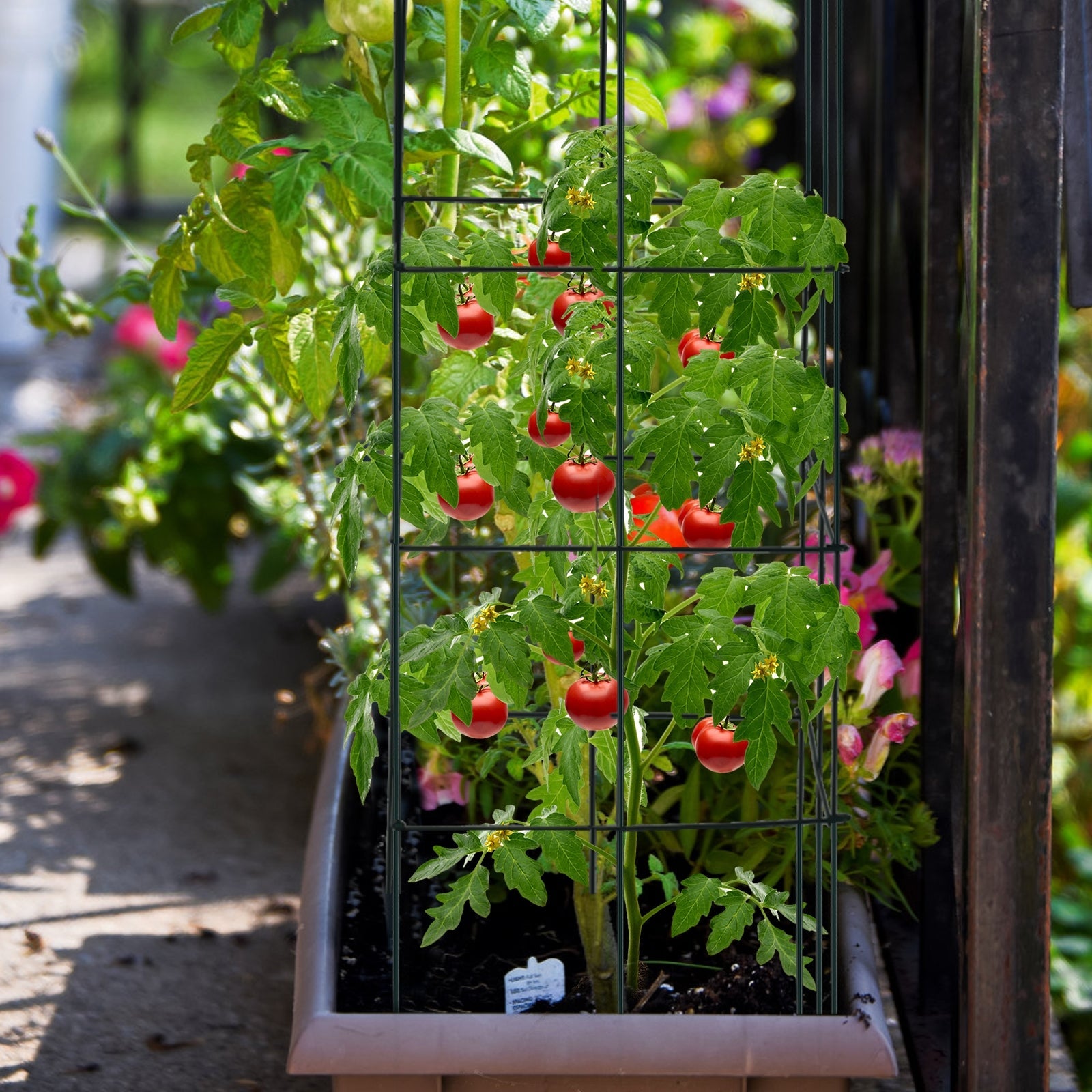 Metal Garden Trellis