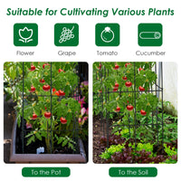 Metal Garden Trellis