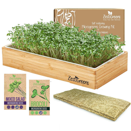 Microgreens Grow Kits
