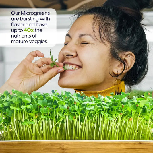 Woman eating Microgreens 