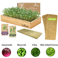 Microgreens Growing Kit Self Watering