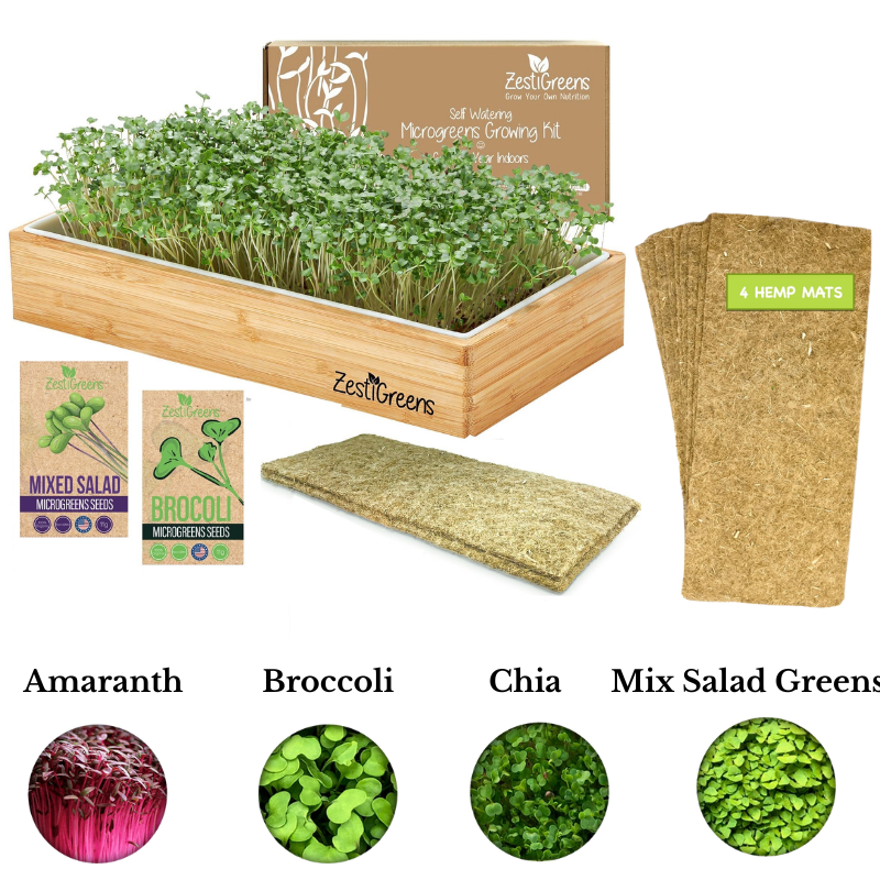 Microgreens Growing Kit Self Watering