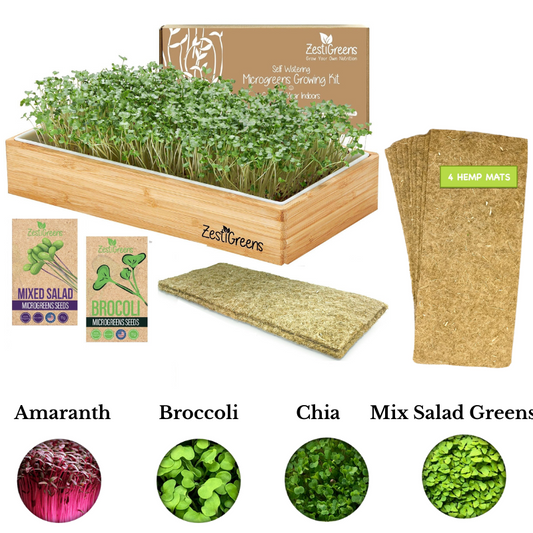 Microgreens Growing Kit Self Watering
