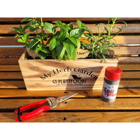  Herb Garden Kit