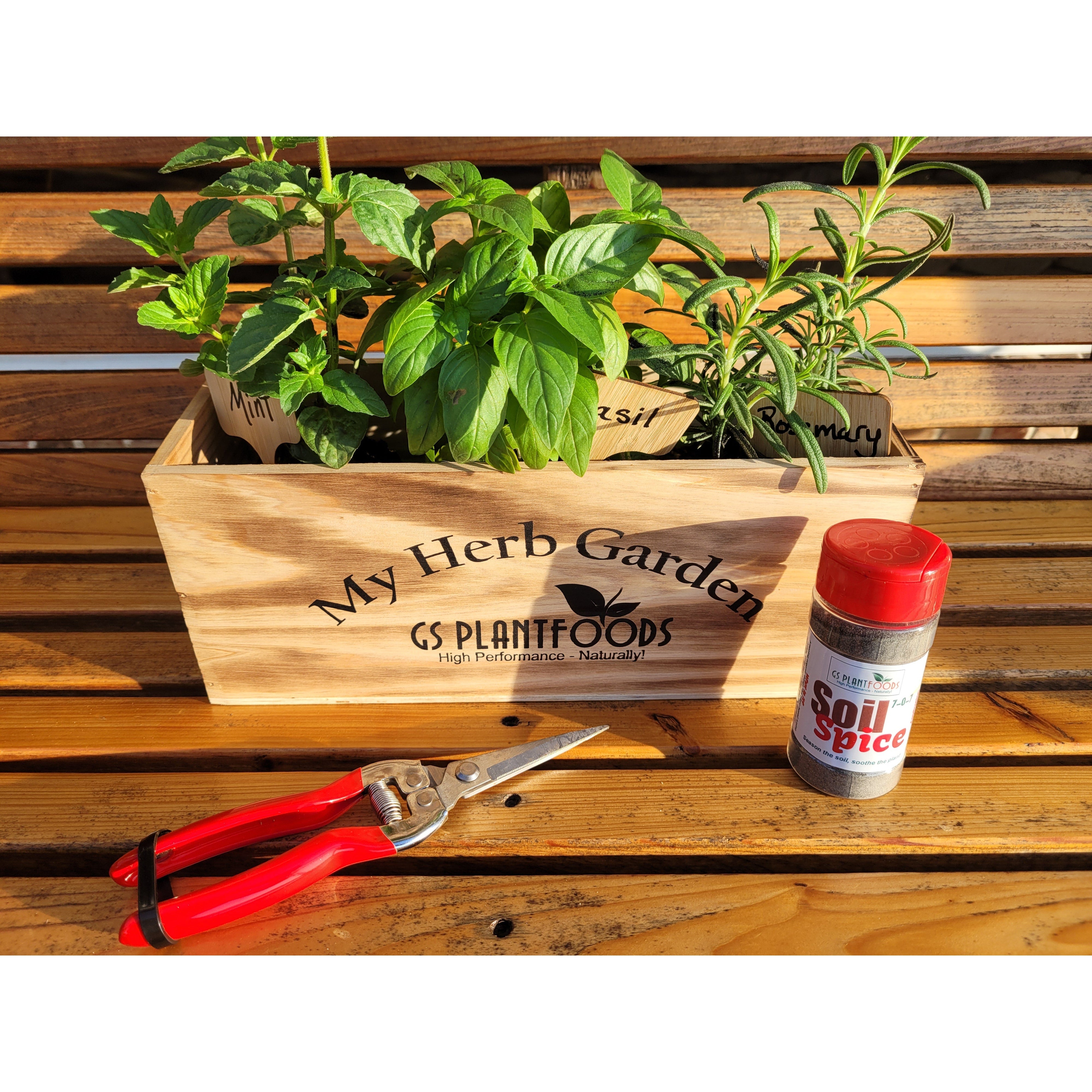  Herb Garden Kit