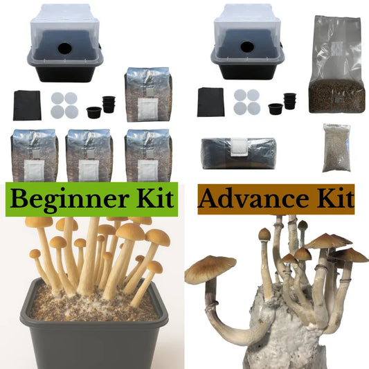 MonoTub Mushroom Grow Kit