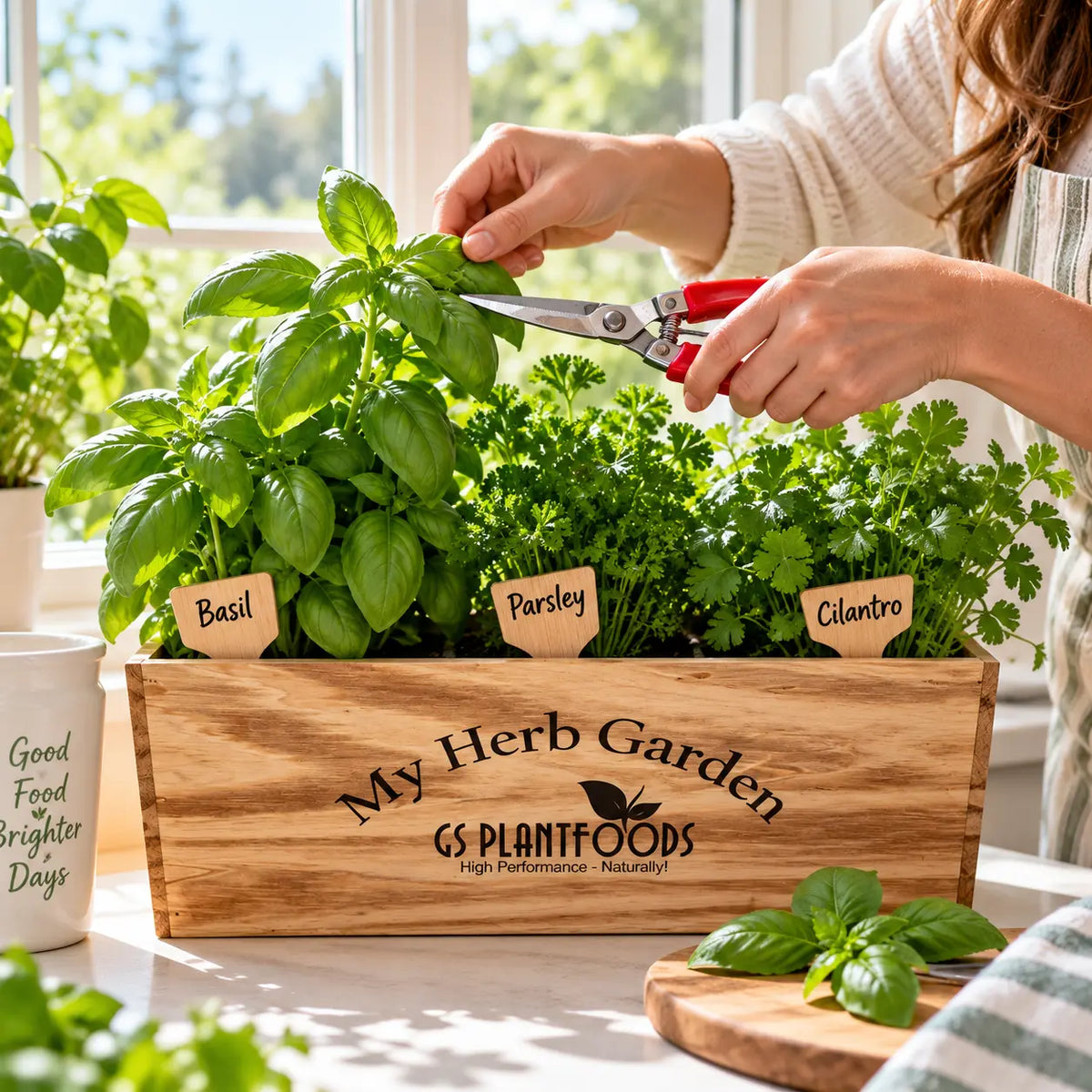 Windowsill Herb Garden Kit