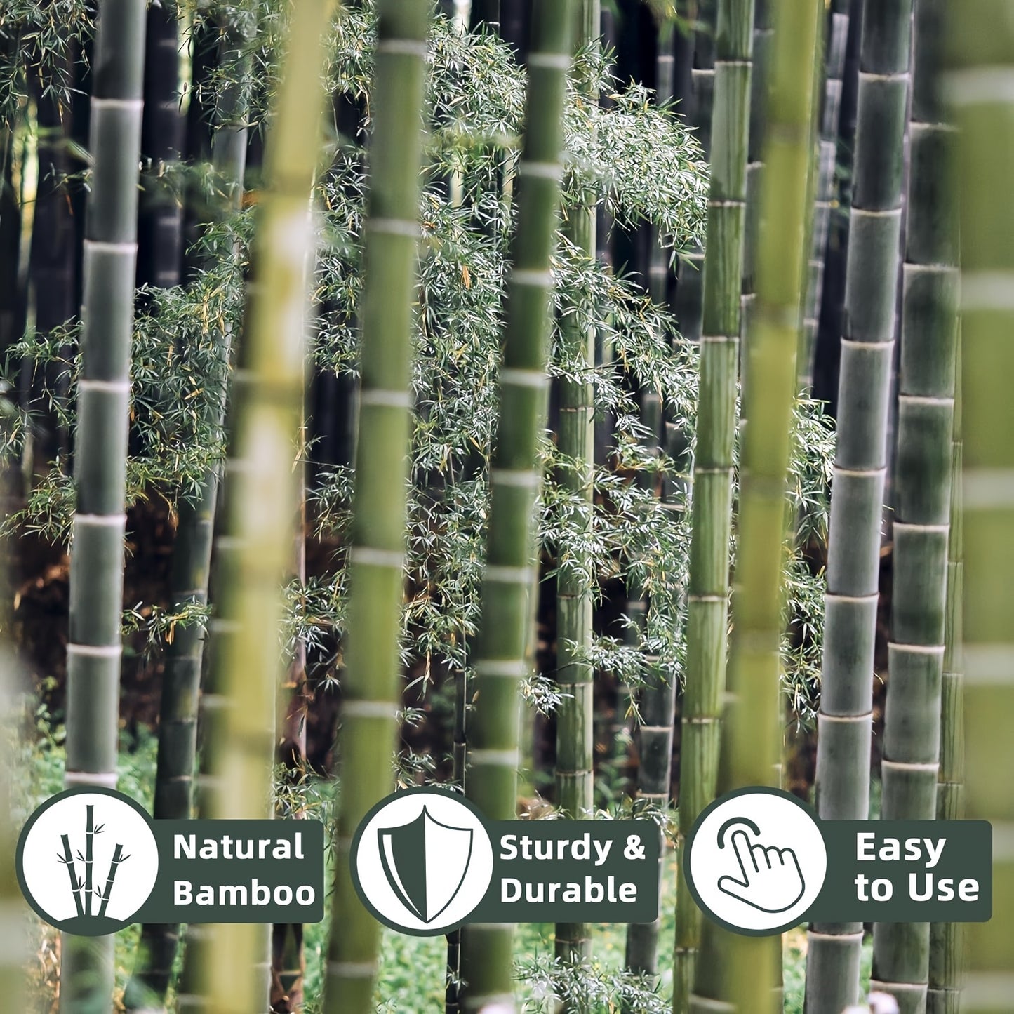 Bamboo Plant Stakes