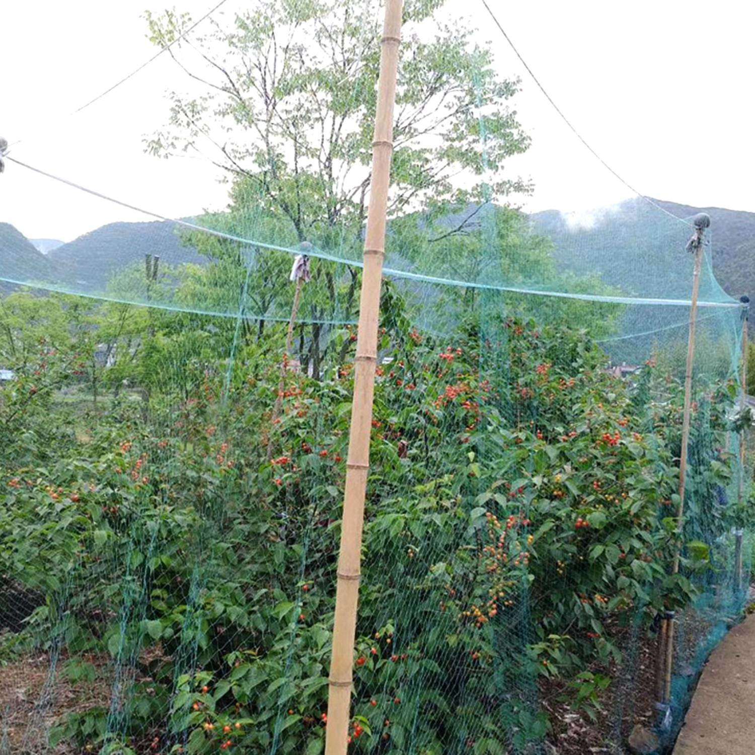Gardening Net, Garden Mesh 33x7 Feet-2pcs