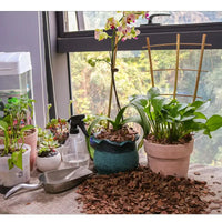 9Qt/18QT Orchid Potting Bark