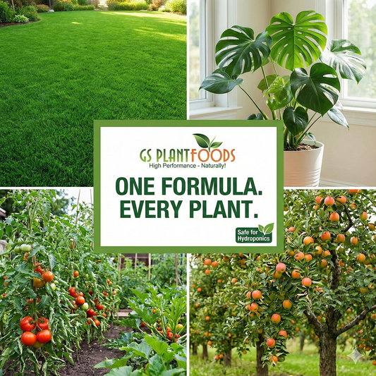 Organic Liquid Humic Acid Soil Amendment