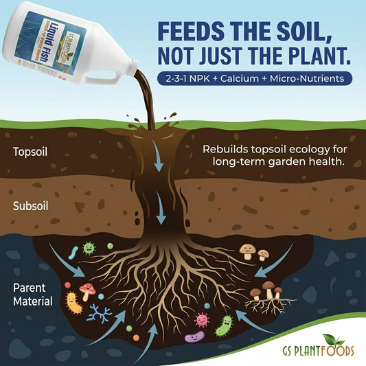 Organic Liquid Fish Fertilizer