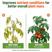Liquid Kelp Fertilizer