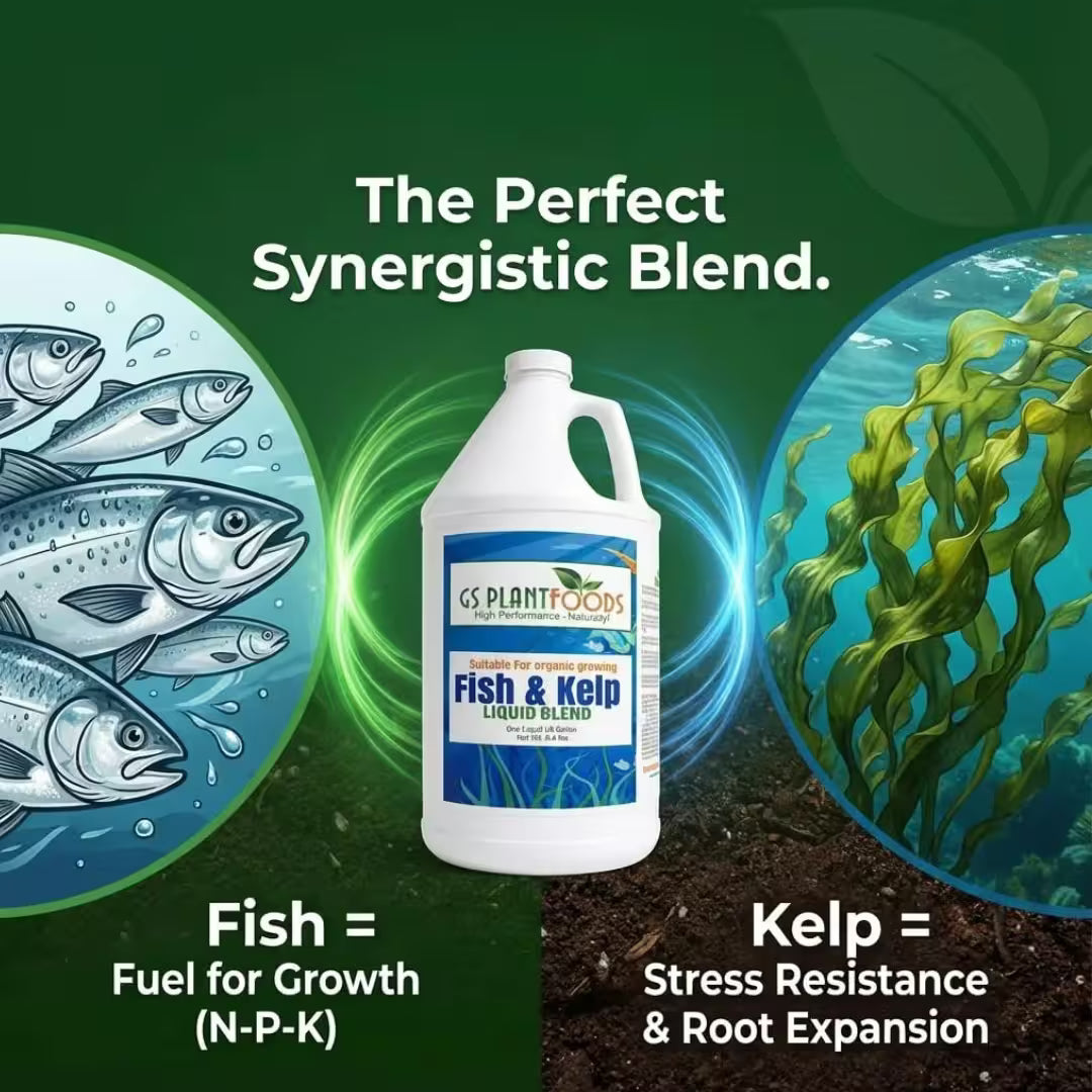 Organic Liquid Kelp & Fish Fertilizer