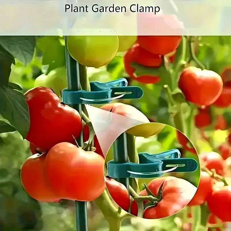 100 Pcs Adjustable Plant Clips