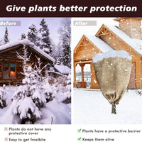 Frost Protector for Plants