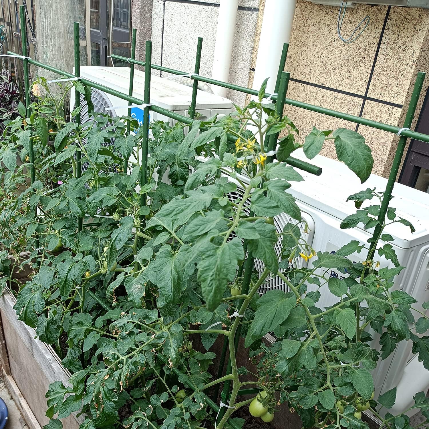 Plant Supports Stakes