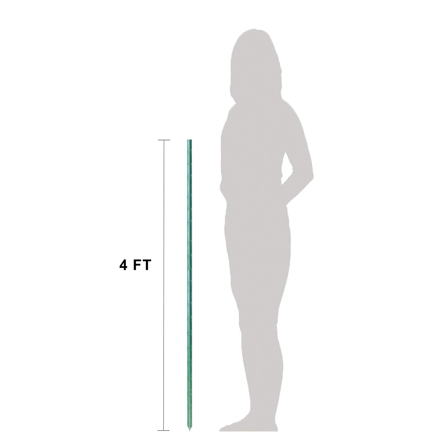 Plant Supports Stakes