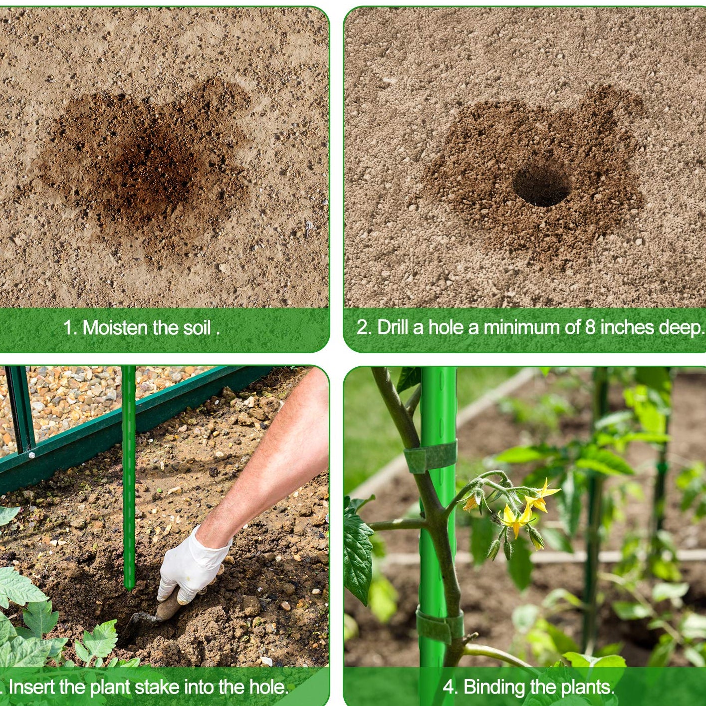 Plant Supports Stakes